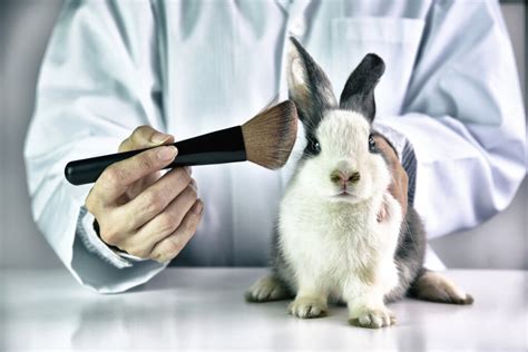 Prada beauty testing for animals